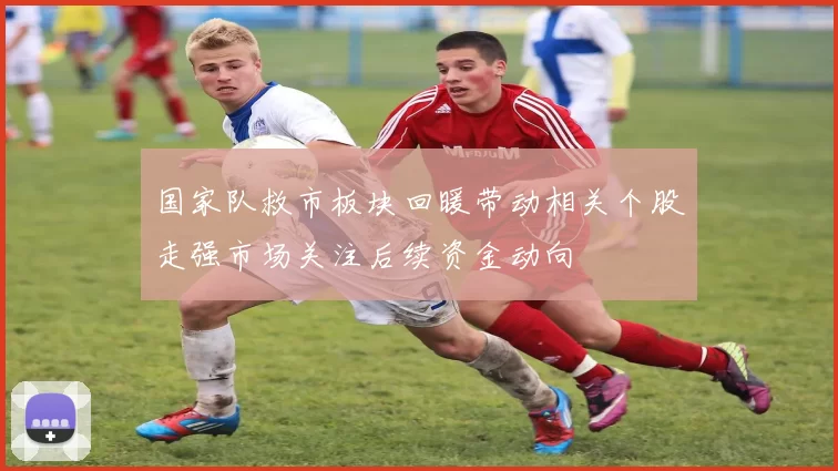 国家队救市板块回暖带动相关个股走强市场关注后续资金动向